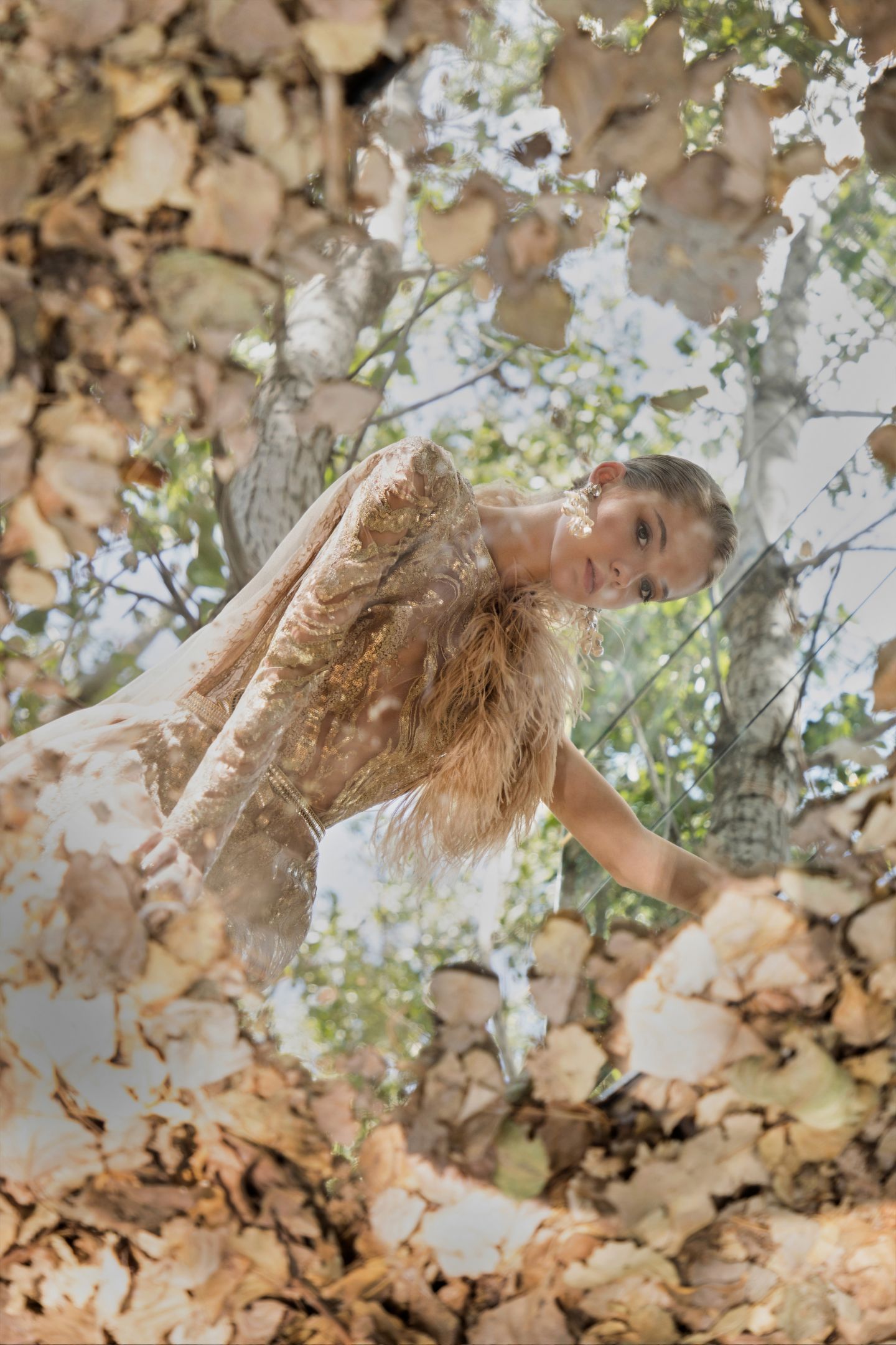 Elie Saab （艾莉·萨博）