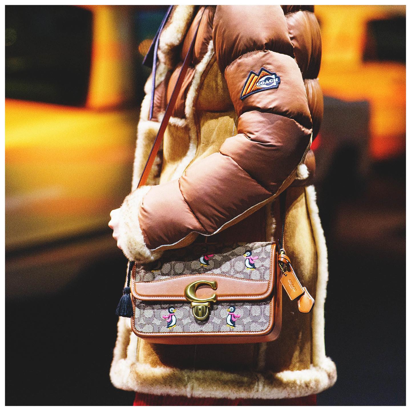 Coach（蔻驰）