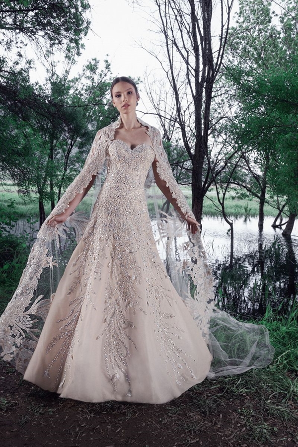 Tony Ward（托尼·沃德）