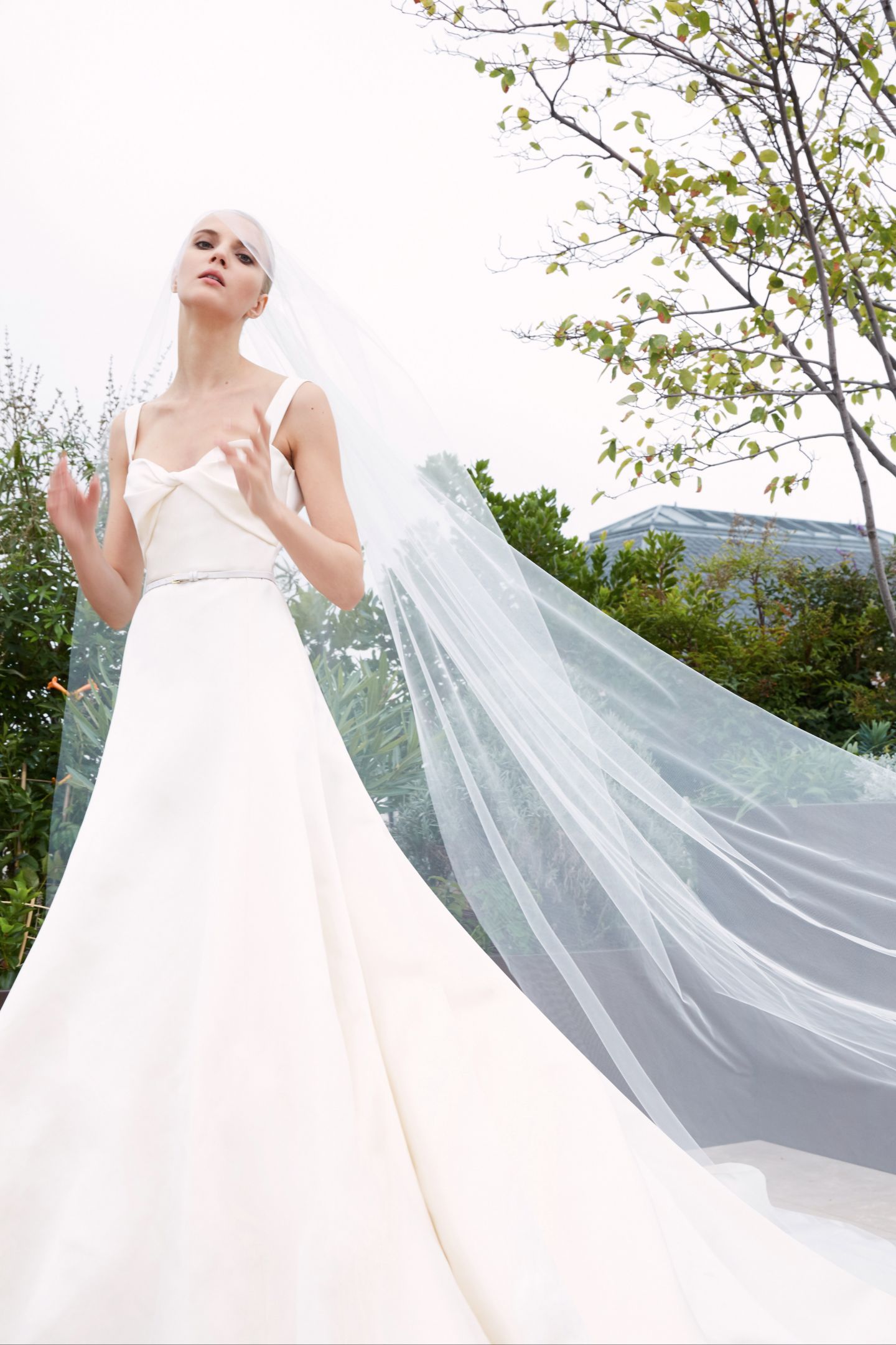 艾莉·萨博 (Elie Saab)