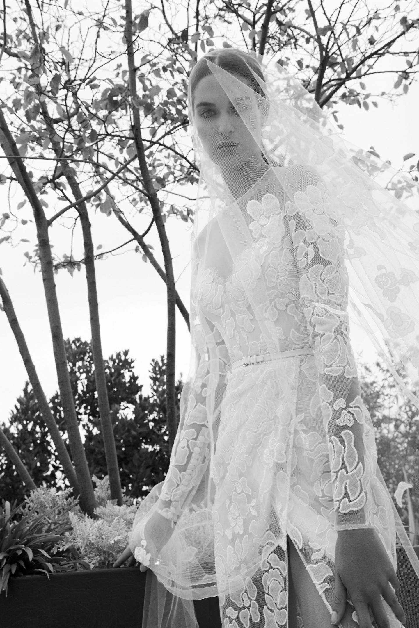 艾莉·萨博 (Elie Saab)