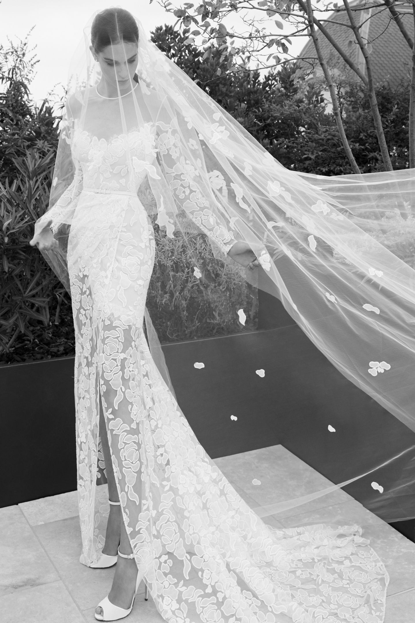 艾莉·萨博 (Elie Saab)