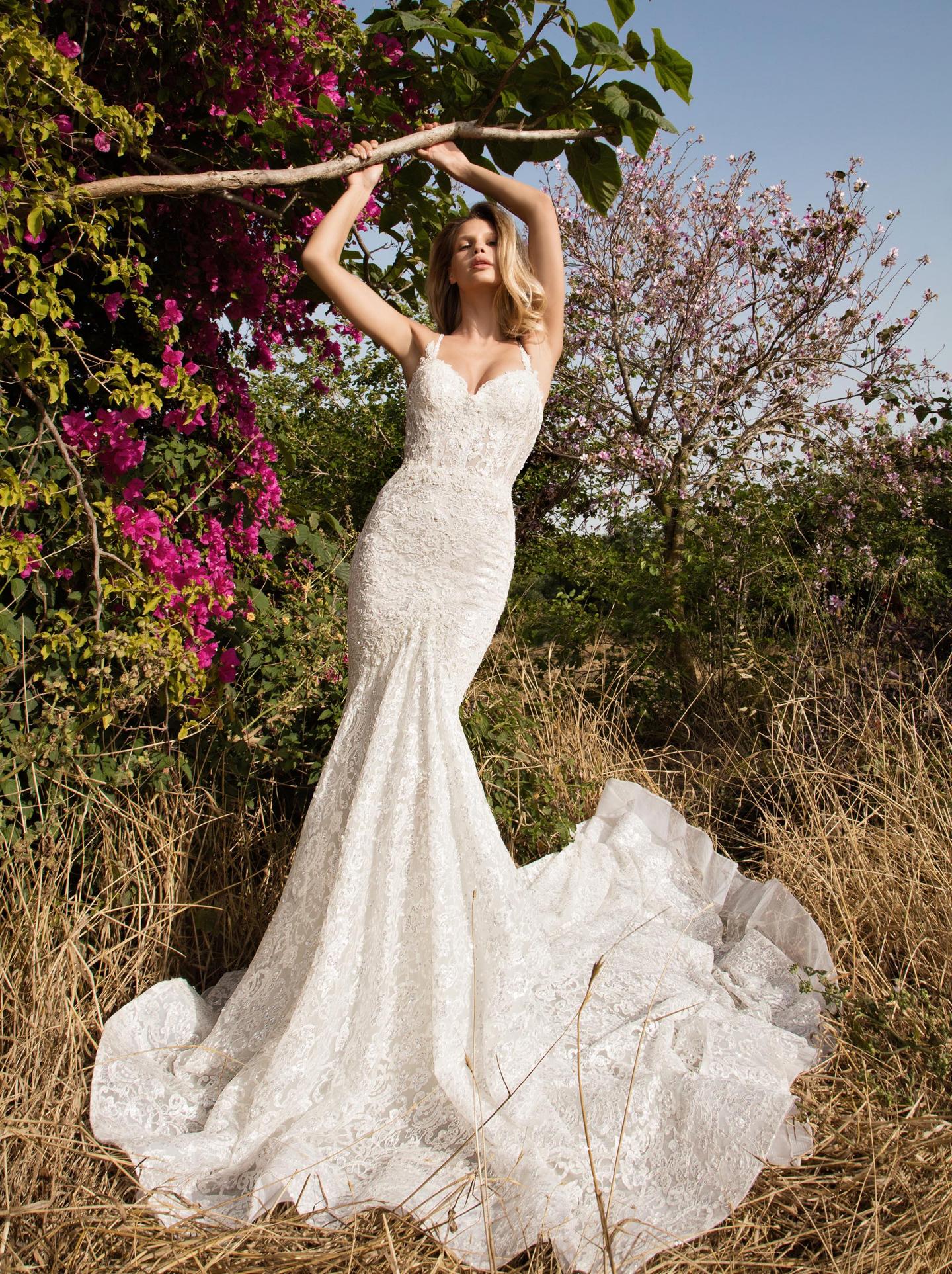 Galia Lahav,嘉丽兰赫