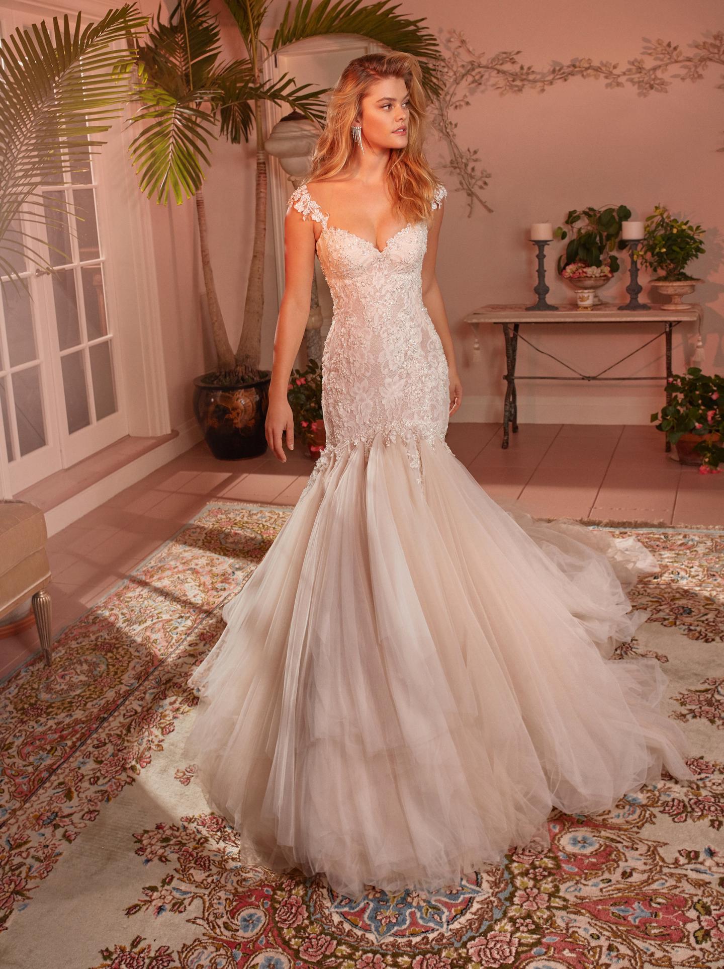 Galia Lahav,嘉丽兰赫