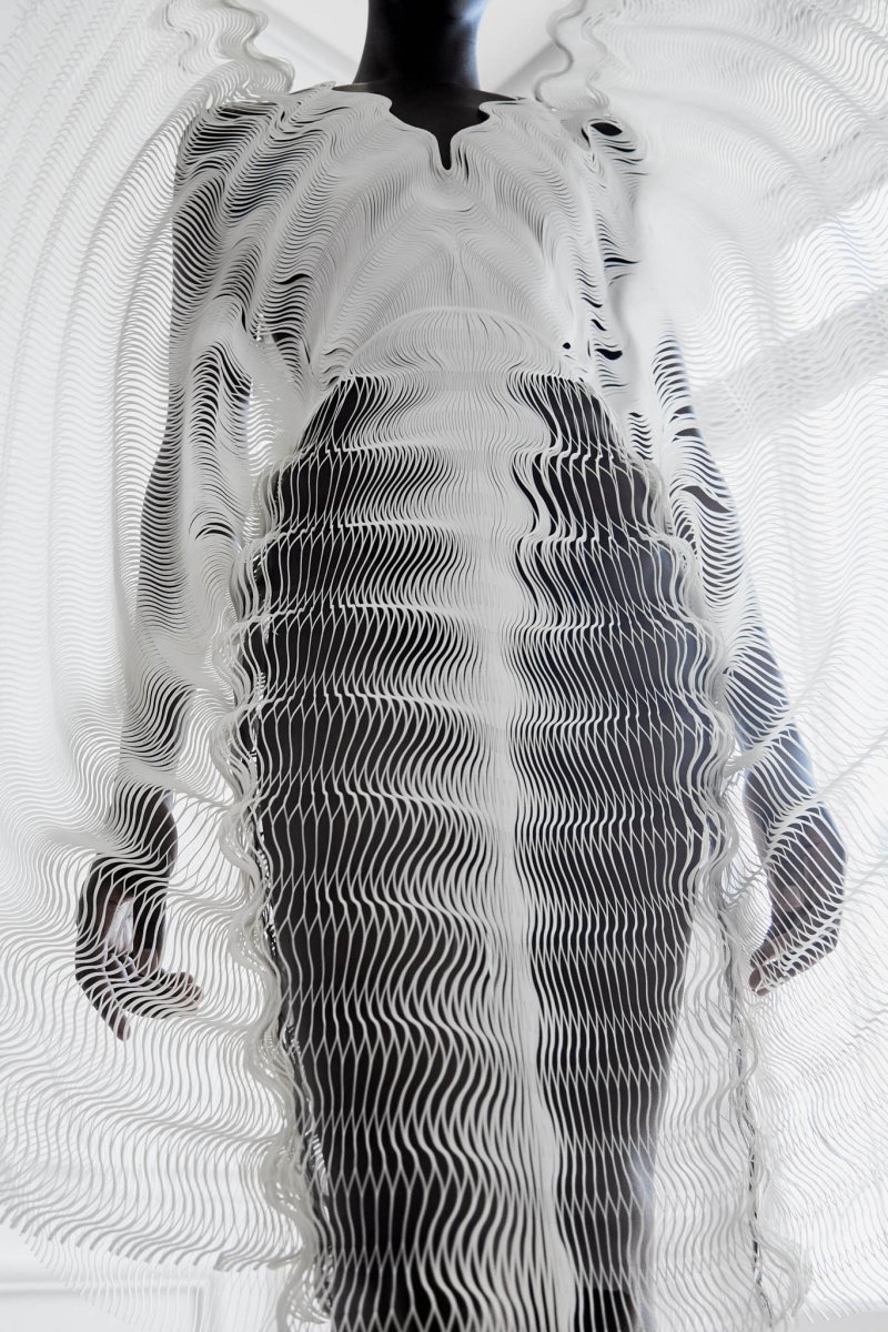 Iris van Herpen 艾里斯·范·荷本