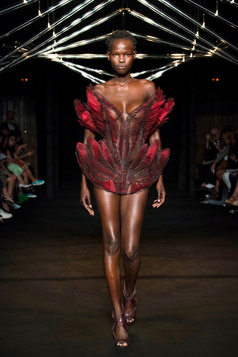 Iris van Herpen 艾里斯·范·荷本