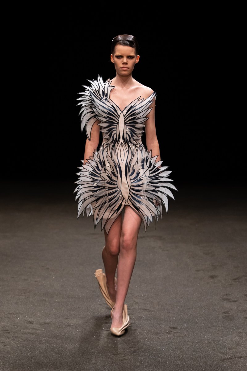 Iris van Herpen 艾里斯·范·荷本