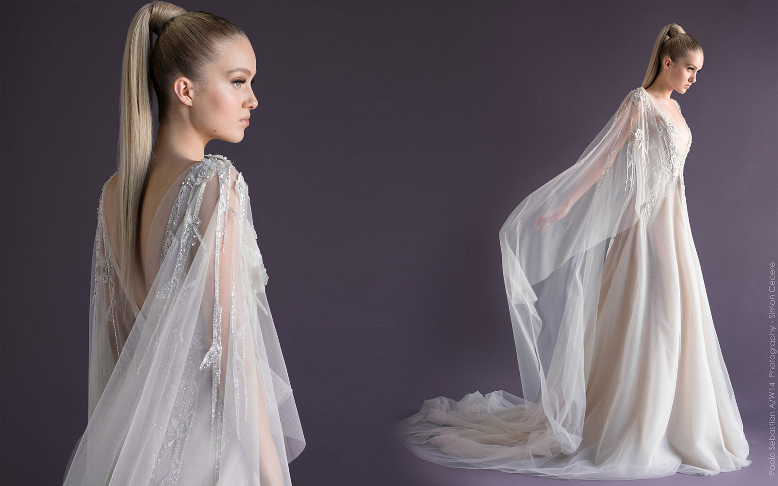 Paolo Sebastian 保罗·塞巴斯蒂安