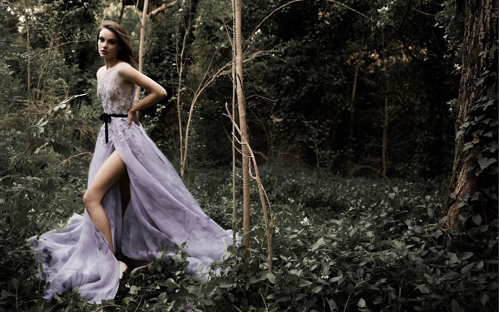 Paolo Sebastian 保罗·塞巴斯蒂安