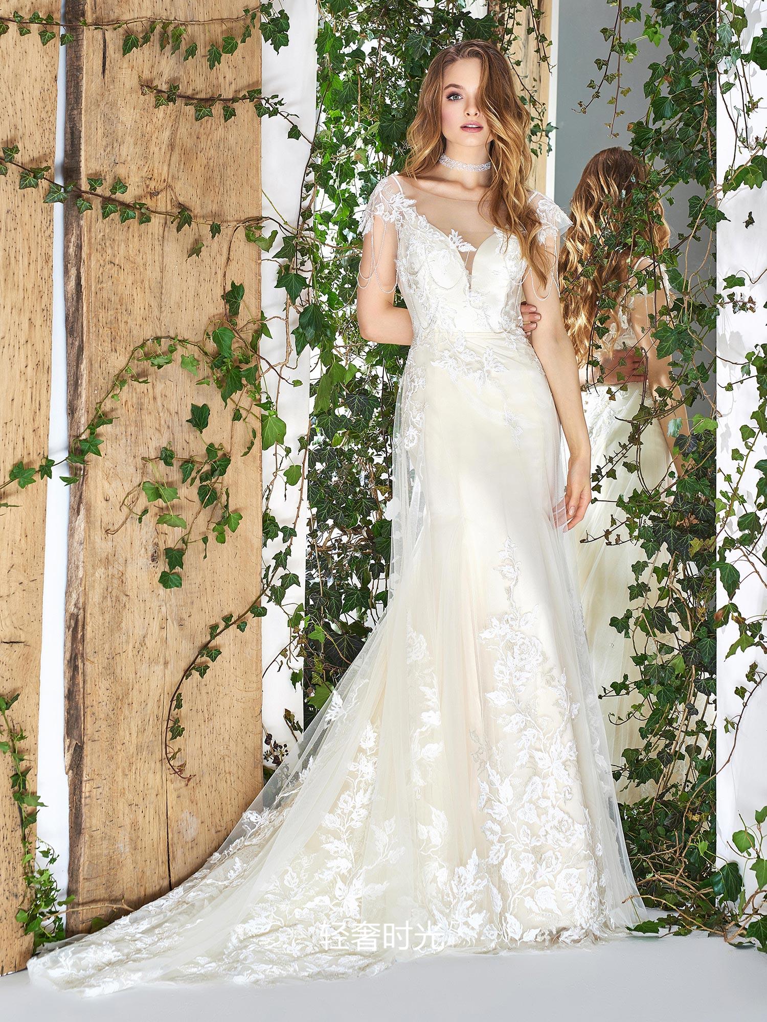 Papilio Bridal