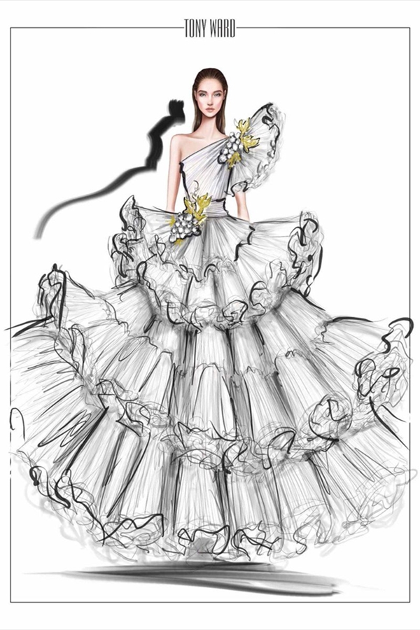 Tony Ward（托尼·沃德）