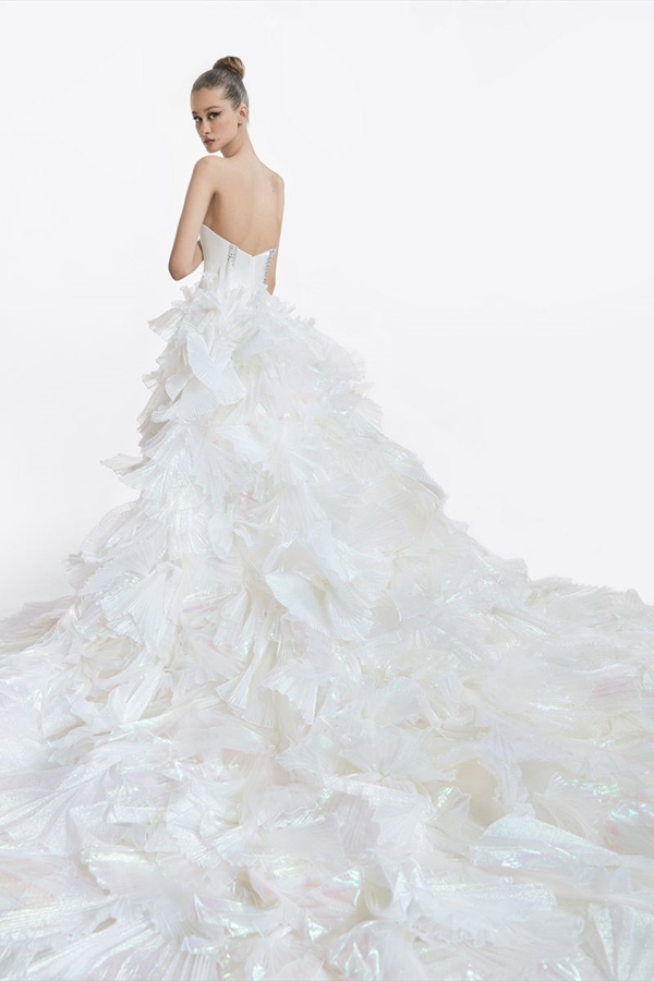 Tony Ward（托尼·沃德）