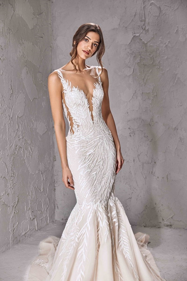 Tony Ward（托尼·沃德）