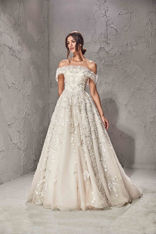 Tony Ward（托尼·沃德）