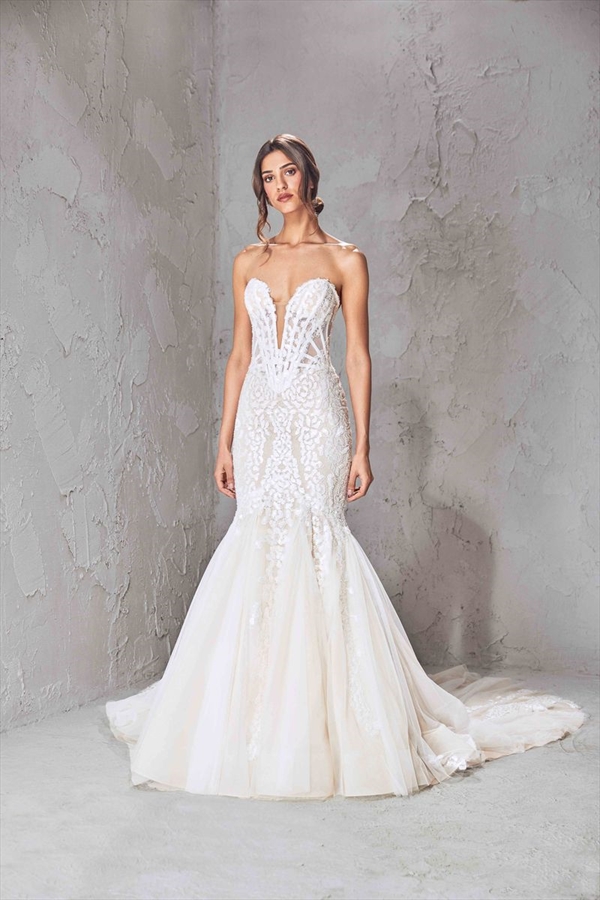 Tony Ward（托尼·沃德）