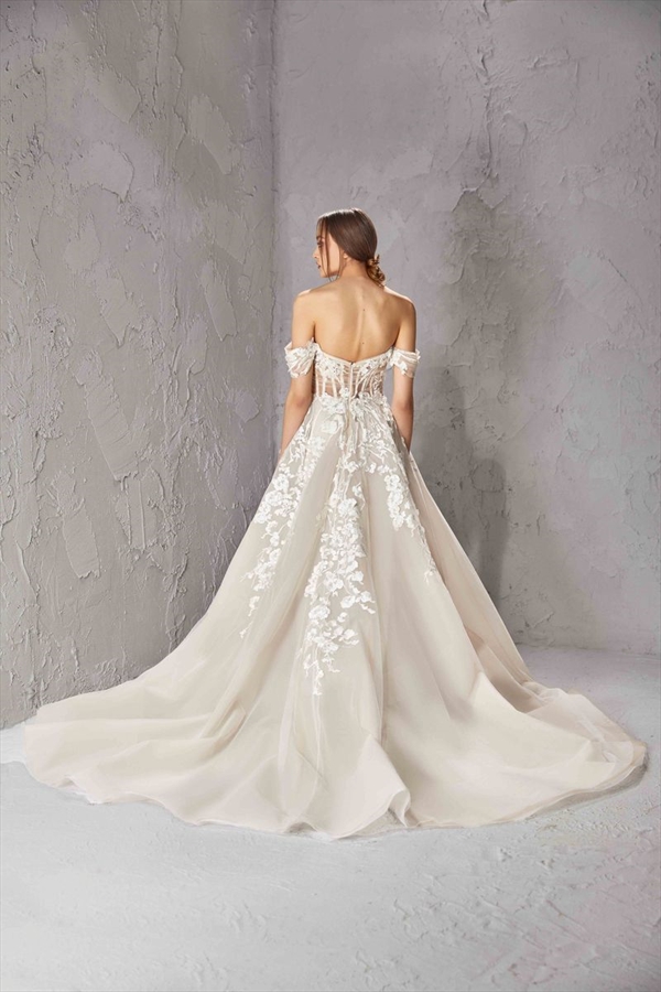 Tony Ward（托尼·沃德）
