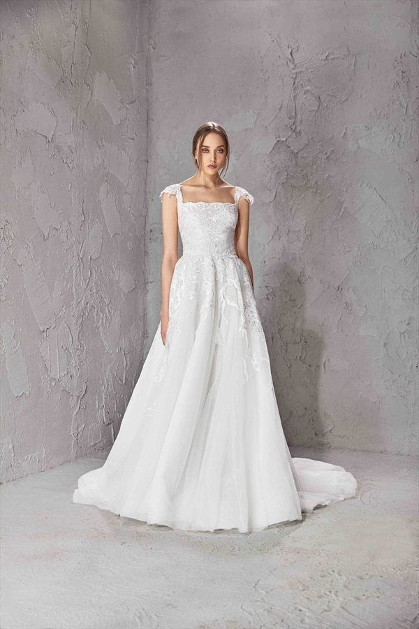 Tony Ward（托尼·沃德）