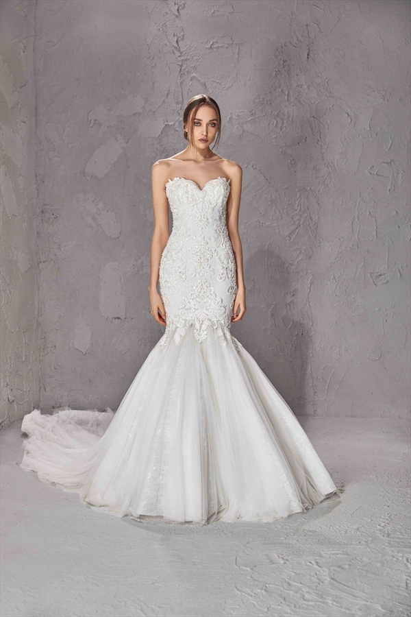Tony Ward（托尼·沃德）