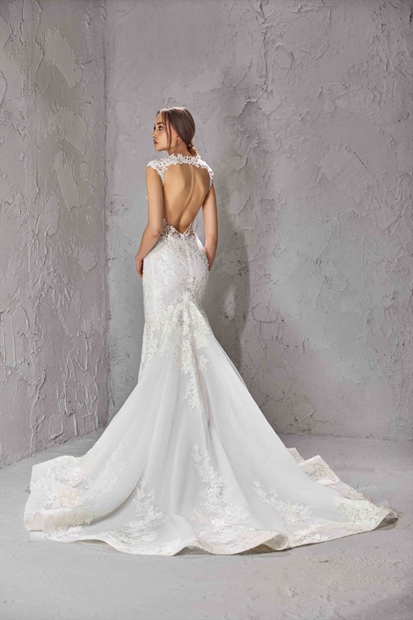 Tony Ward（托尼·沃德）