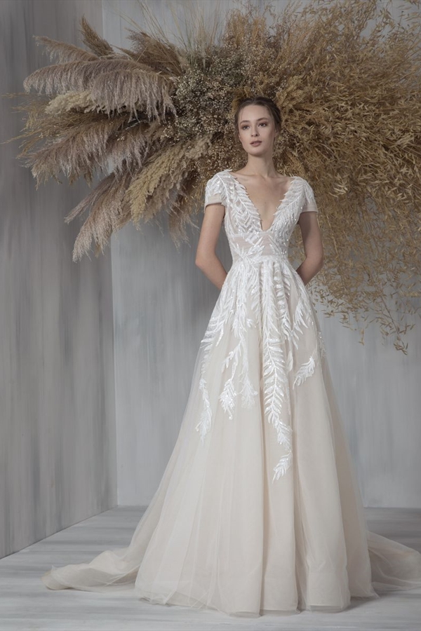 Tony Ward（托尼·沃德）