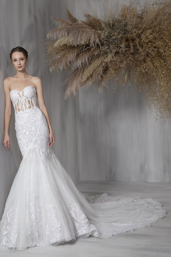 Tony Ward（托尼·沃德）