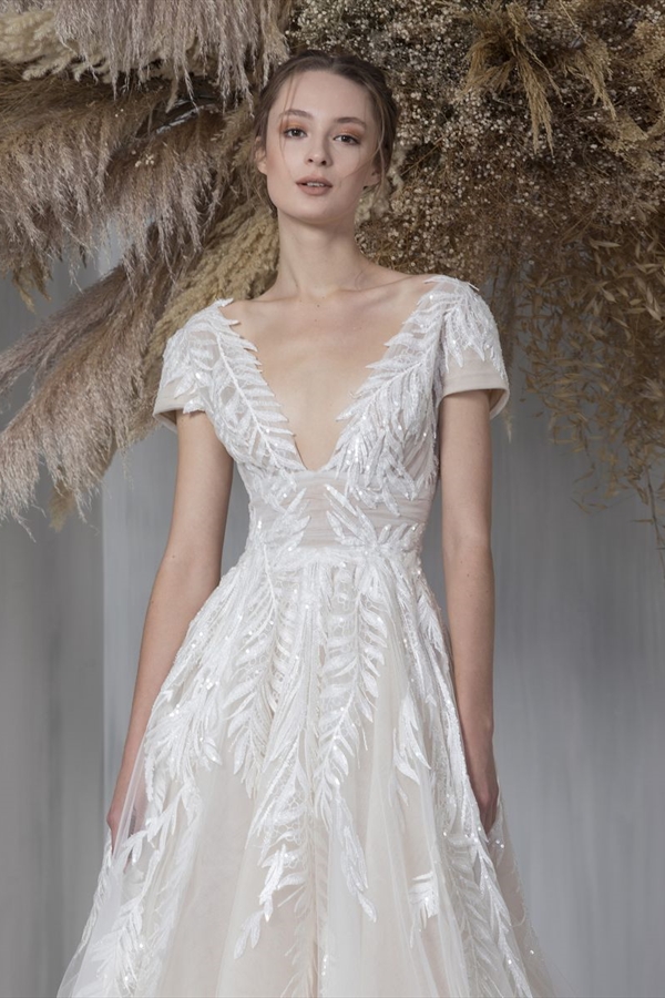 Tony Ward（托尼·沃德）
