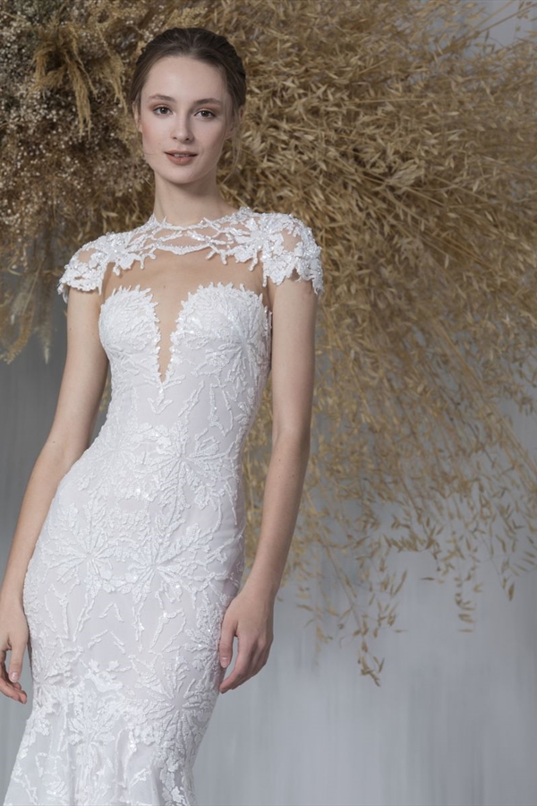 Tony Ward（托尼·沃德）