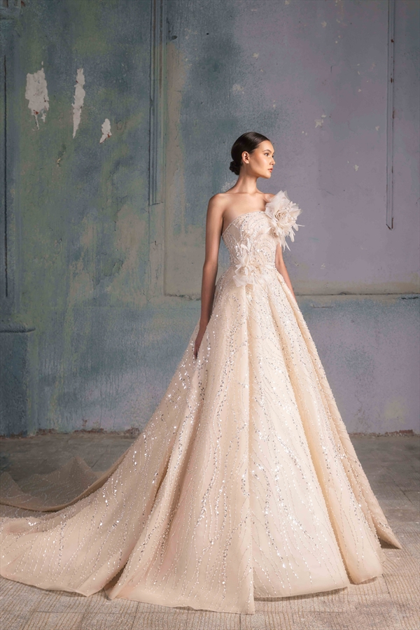 Tony Ward（托尼·沃德）