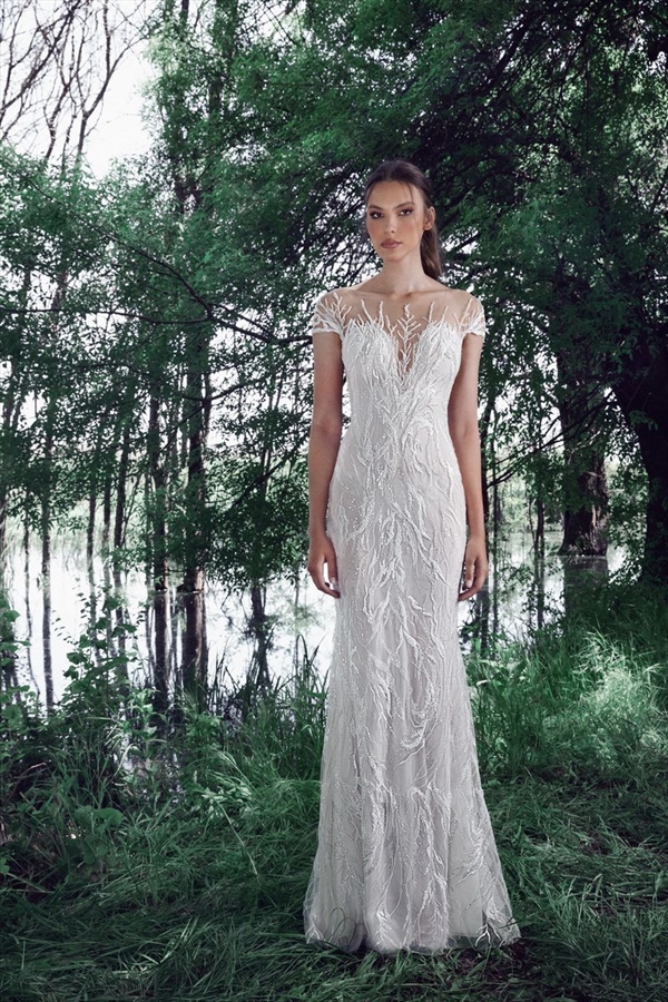 Tony Ward（托尼·沃德）