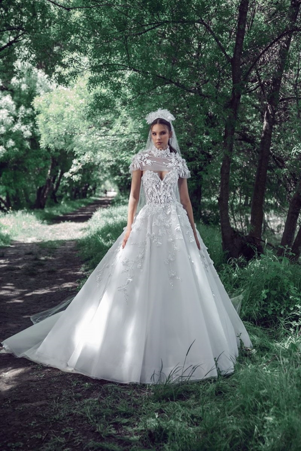 Tony Ward（托尼·沃德）