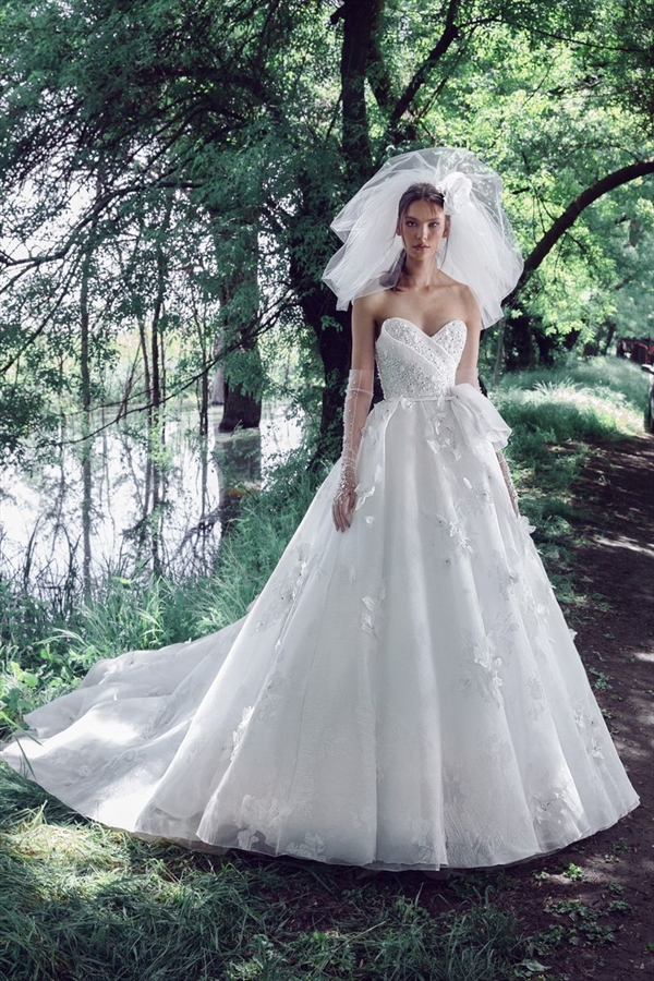 Tony Ward（托尼·沃德）