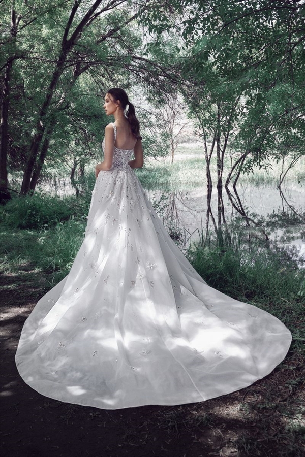 Tony Ward（托尼·沃德）