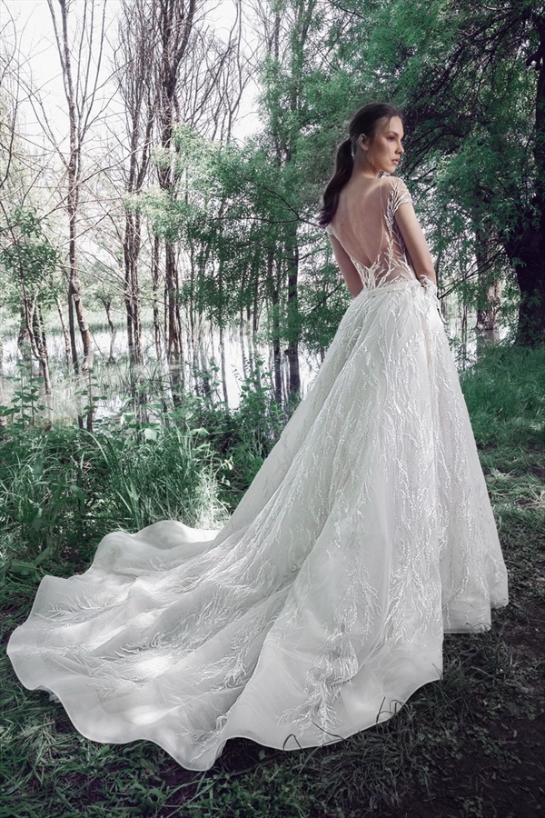 Tony Ward（托尼·沃德）