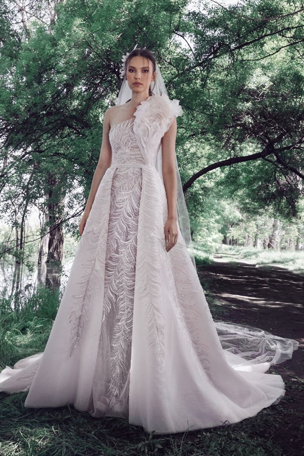 Tony Ward（托尼·沃德）