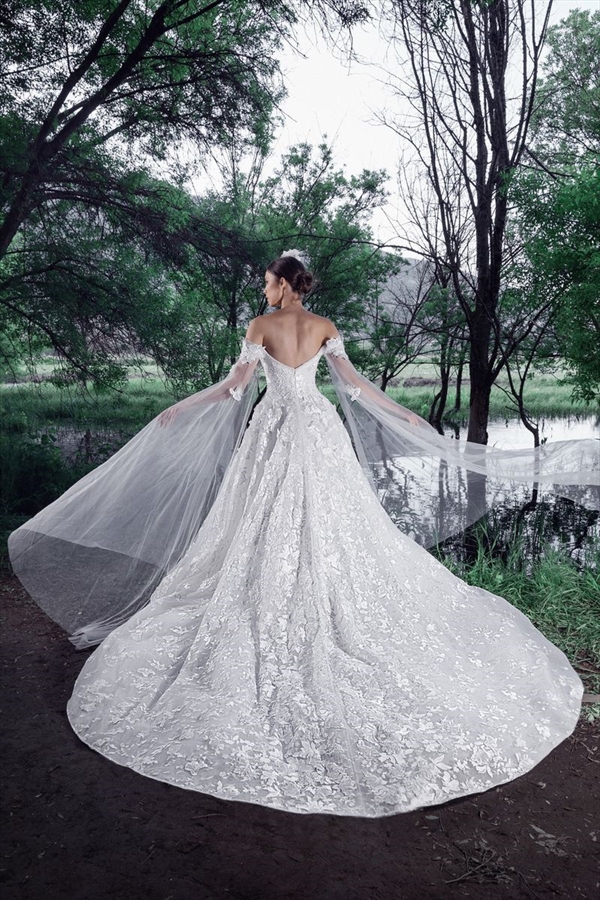 Tony Ward（托尼·沃德）