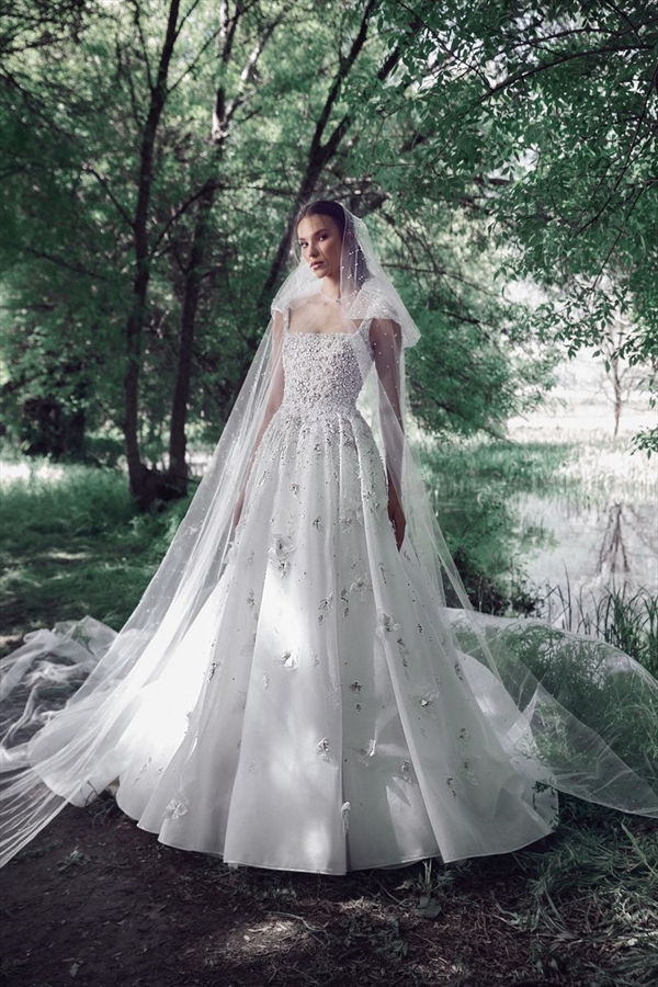 Tony Ward（托尼·沃德）