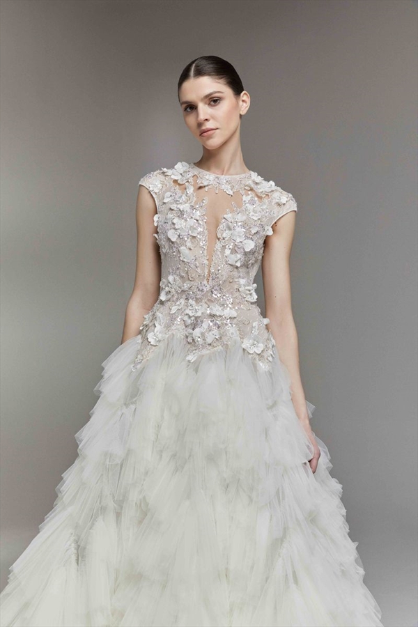 Tony Ward（托尼·沃德）