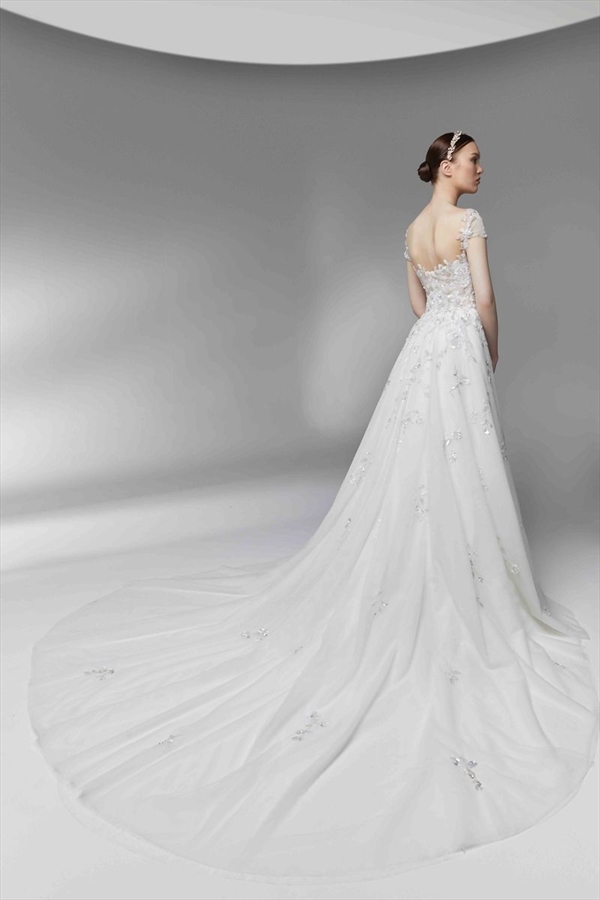 Tony Ward（托尼·沃德）