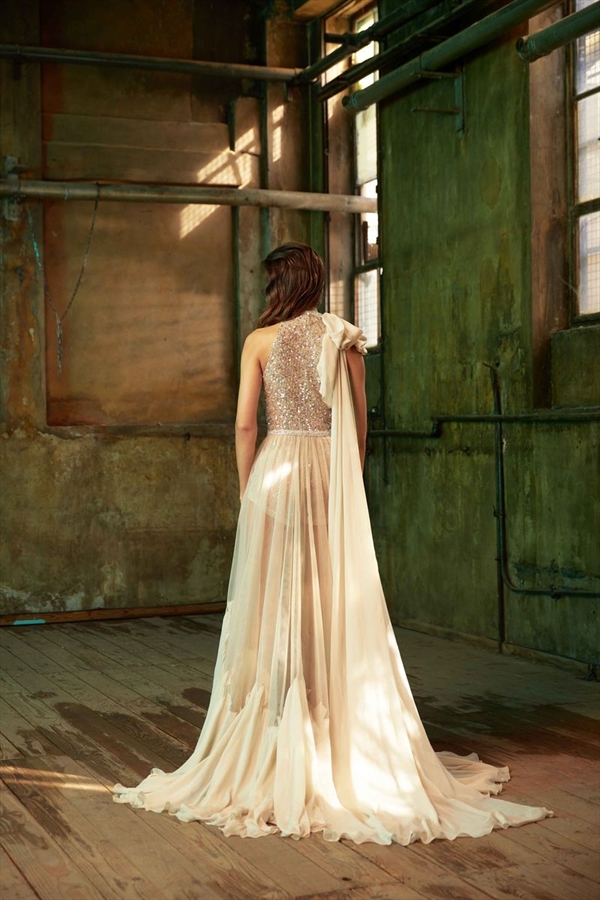 Tony Ward（托尼·沃德）
