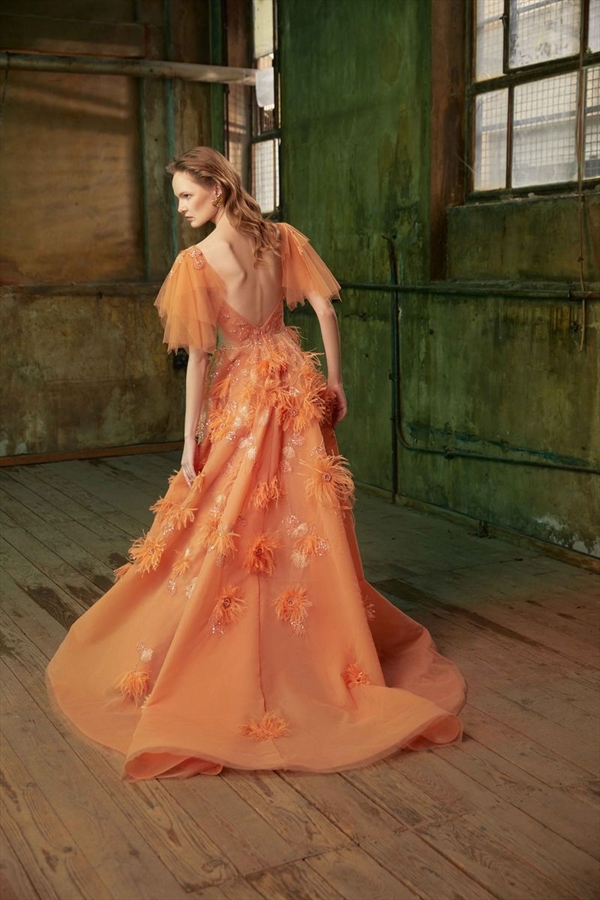 Tony Ward（托尼·沃德）