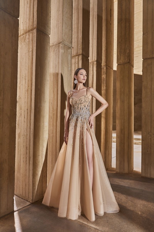 Tony Ward（托尼·沃德）