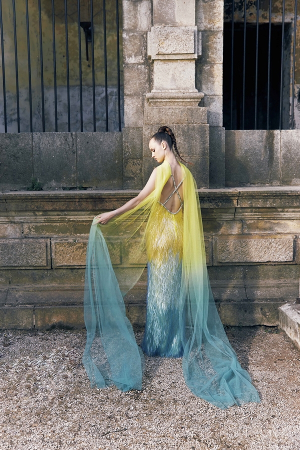 Tony Ward（托尼·沃德）