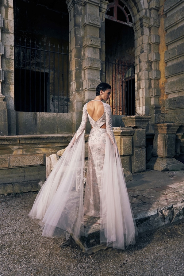 Tony Ward（托尼·沃德）