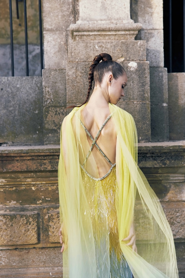 Tony Ward（托尼·沃德）