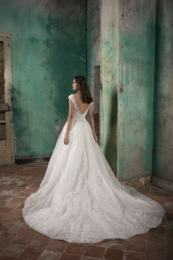 Tony Ward（托尼·沃德）