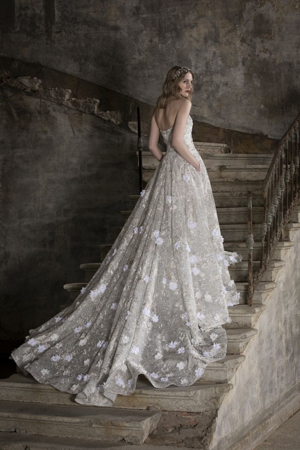 Tony Ward（托尼·沃德）