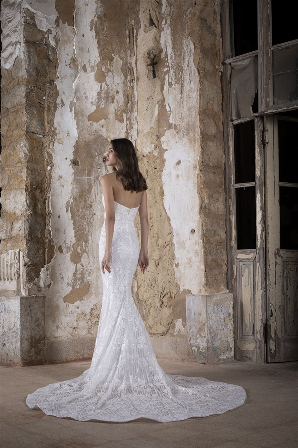 Tony Ward（托尼·沃德）