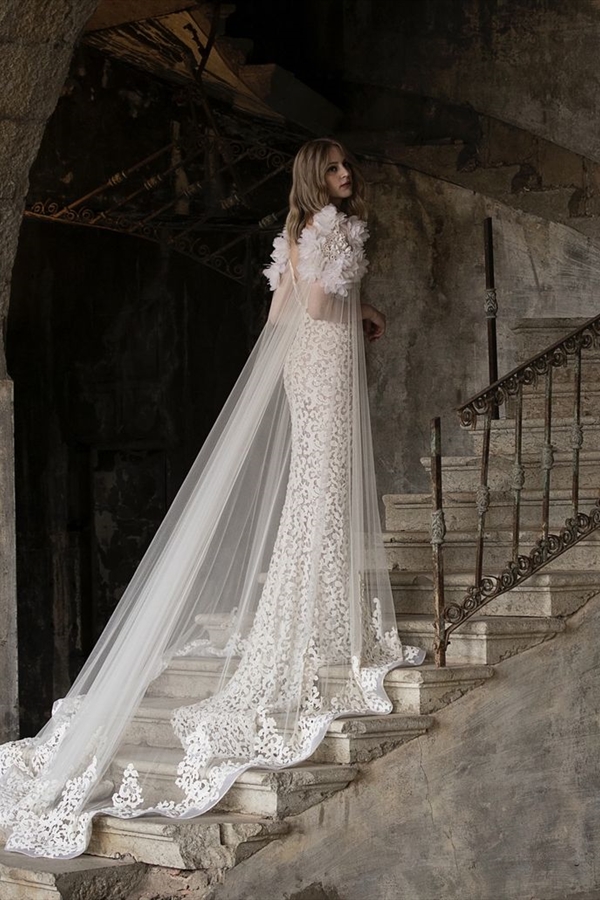 Tony Ward（托尼·沃德）