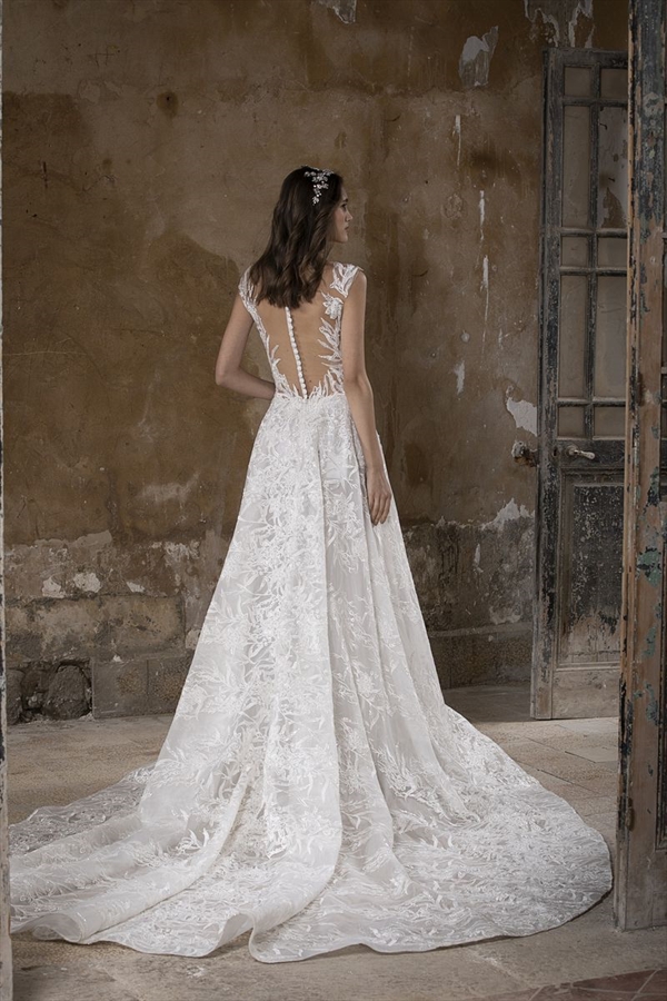 Tony Ward（托尼·沃德）