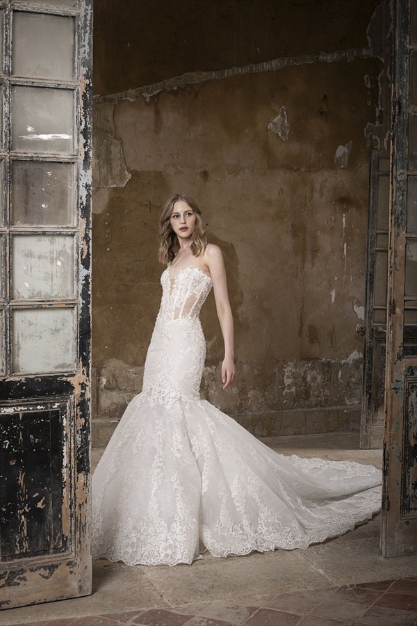 Tony Ward（托尼·沃德）